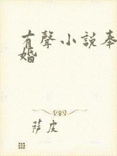 有声小说奉子成婚