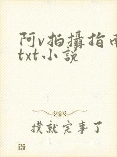 阿v拍摄指南说txt小说