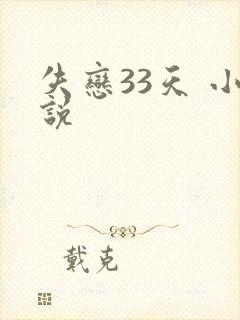 失恋33天 小说