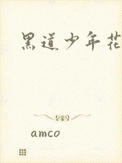 黑道少年花丛游