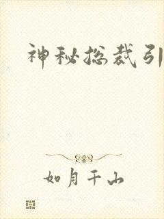 神秘总裁引入怀