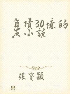 负债30亿的男友小说