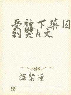 受被下药囚禁脔到哭h文