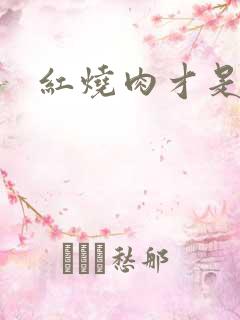 红烧肉才是真爱