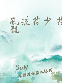 风流花少 花睿龙