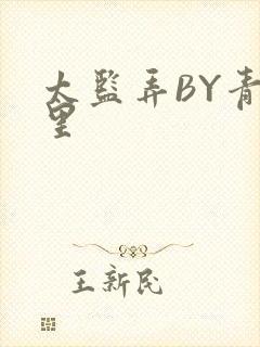 太监弄BY青镜里