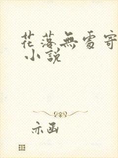 花落无处寄相思 小说