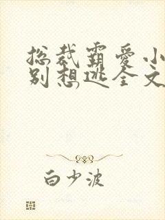 总裁霸爱小娇妻别想逃全文阅读免费