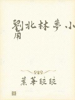 刘北林梦小说主角