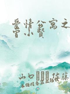 爱情公寓之极品曾小贤