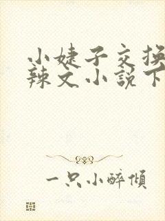 小婕子交换系列辣文小说下载