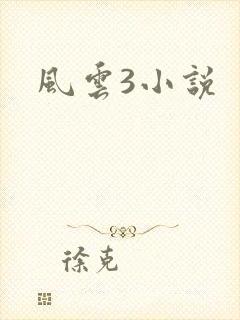 风云3小说