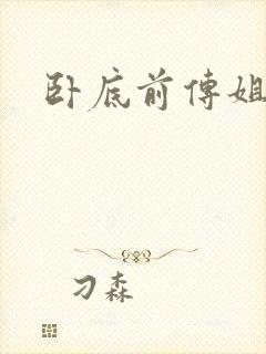 卧底前传姐妹篇