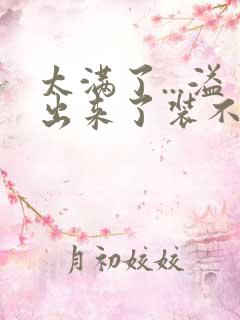 太满了...溢出来了装不下了