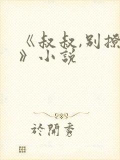 《叔叔,别撩我》小说