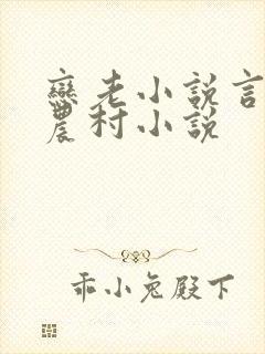 恋老小说言情网农村小说