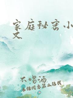 家庭秘密小说全文