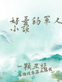好看的军人高干小说