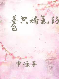 养只娇气的小哭包