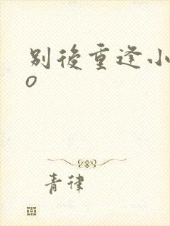 别后重逢小说po