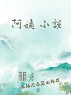 阿姨 小说