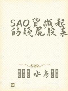 SAO货撅起你的贱屁股来