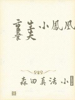 重生小凤凰的童养夫