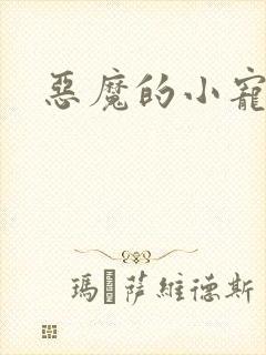 恶魔的小宠妻