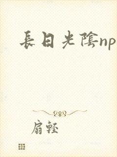 长日光阴np