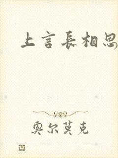 上言长相思