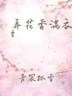 弄花香满衣txt