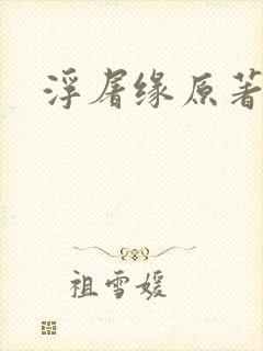 浮屠缘原著小说