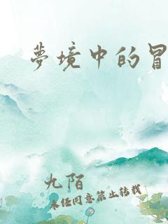 梦境中的冒险家