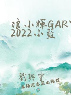 浪小辉GARY2022小蓝