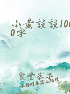 小黄说说1000字