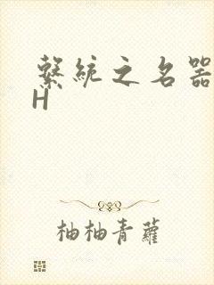 系统之名器勾男H