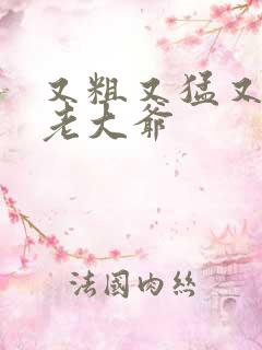 又粗又猛又大爽老大爷