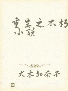重生之不朽传奇 小说