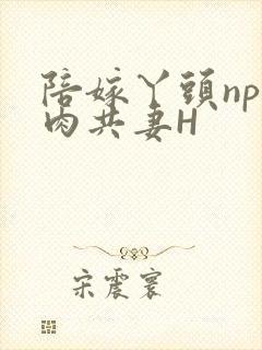 陪嫁丫头np全肉共妻H
