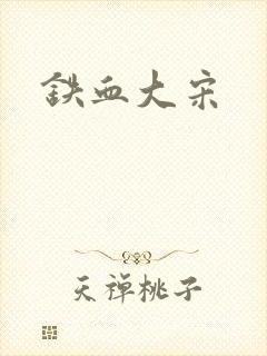 铁血大宋