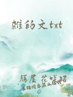 杂的文txt