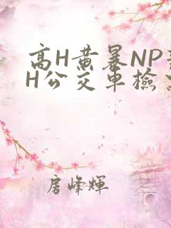高H黄暴NP辣H公交车检票员