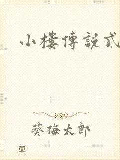 小楼传说贰