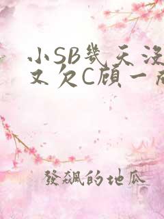 小SB几天没做又欠C顾一成视频