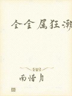 全金属狂潮小说