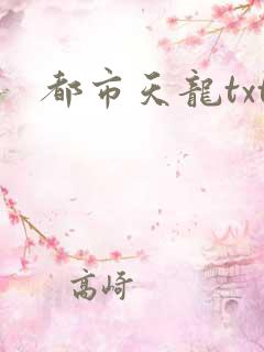 都市天龙txt