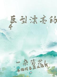 巨型漂亮的瘦子4