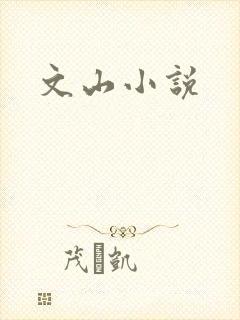 文山小说
