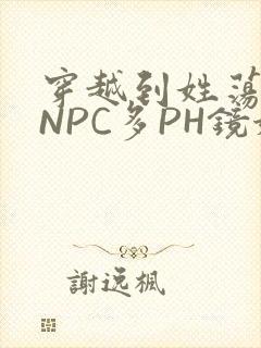 穿越到姓荡游戏NPC多PH镜姬