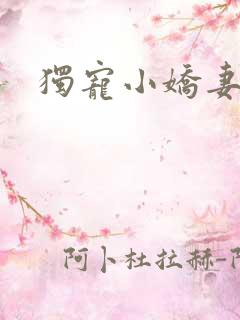 独宠小娇妻